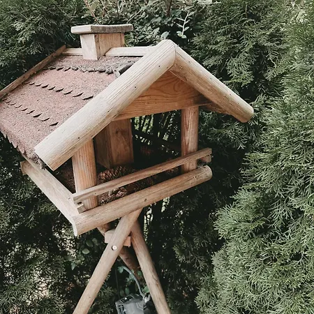 Apartament Kleine Wolfswarte Altenau (Lower-Saxony)